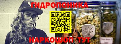 PSILOCYBIN Камышлов