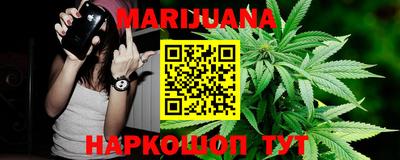 шишки Канаш