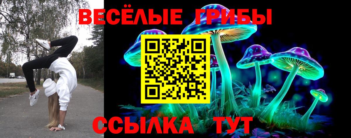 Усолье-Сибирское  Псилоцибиновые грибы ЛСД  Вход с VPN 